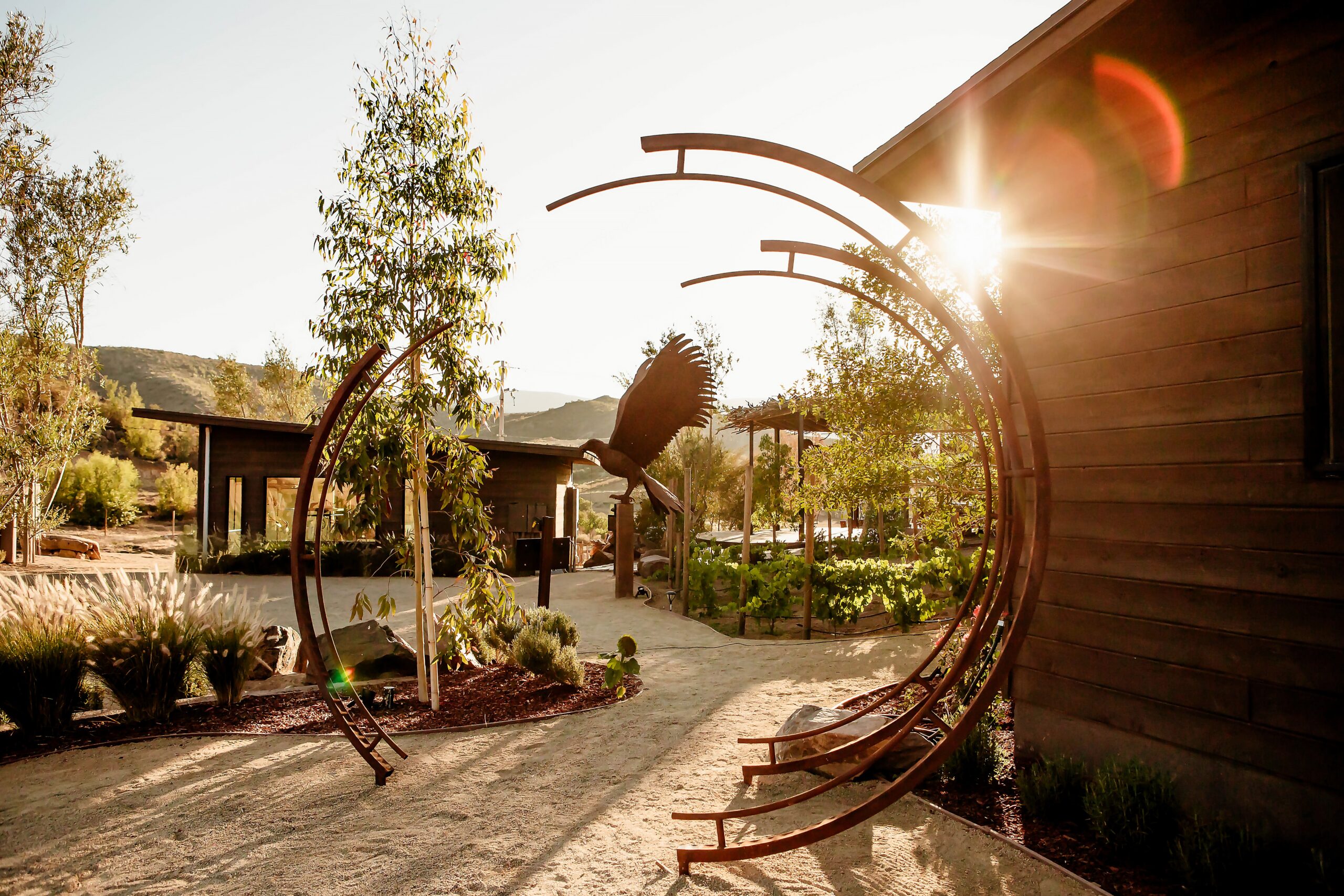 Eagle at O2 Resort Valle de Guadalupe surrounded by the scenic natural landscape of Baja California wine country
