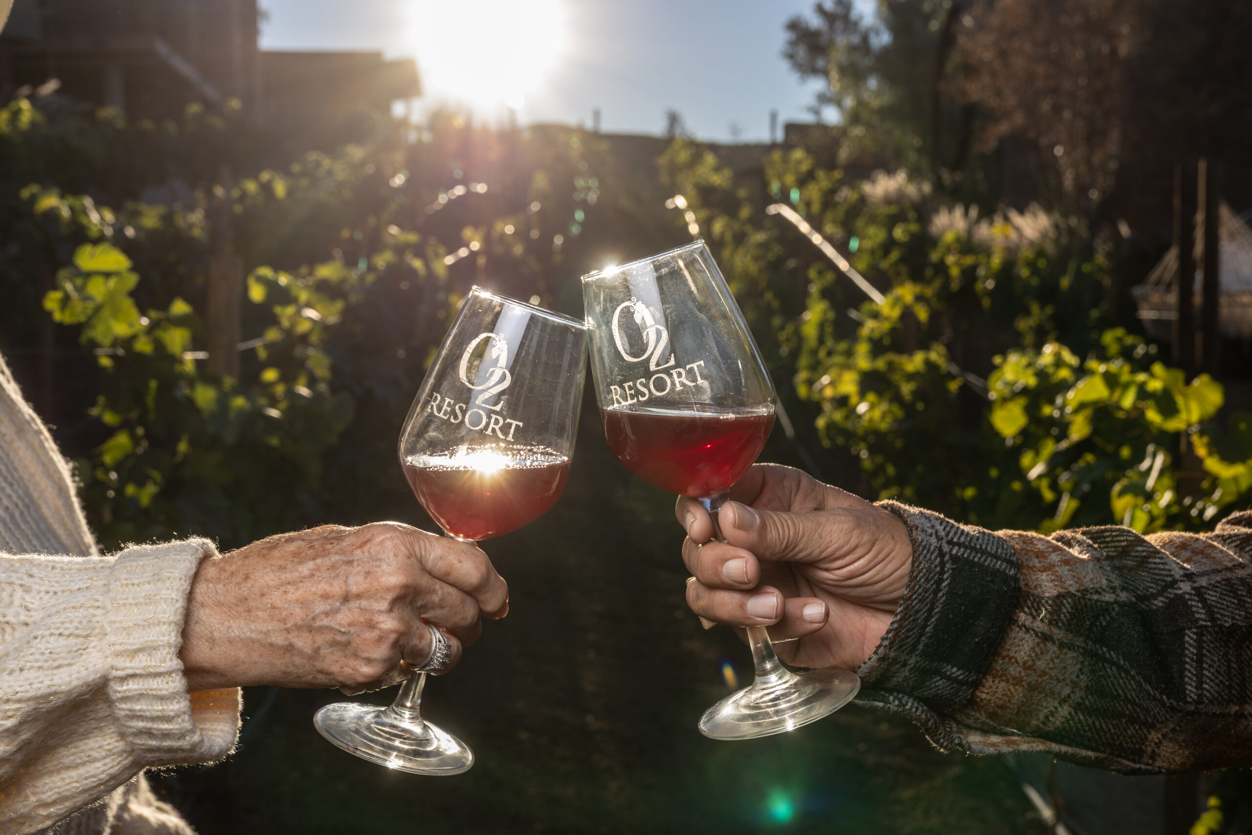 Wine glasses at O2 Resort Valle de Guadalupe highlighting the refined wine country experience of Baja California
