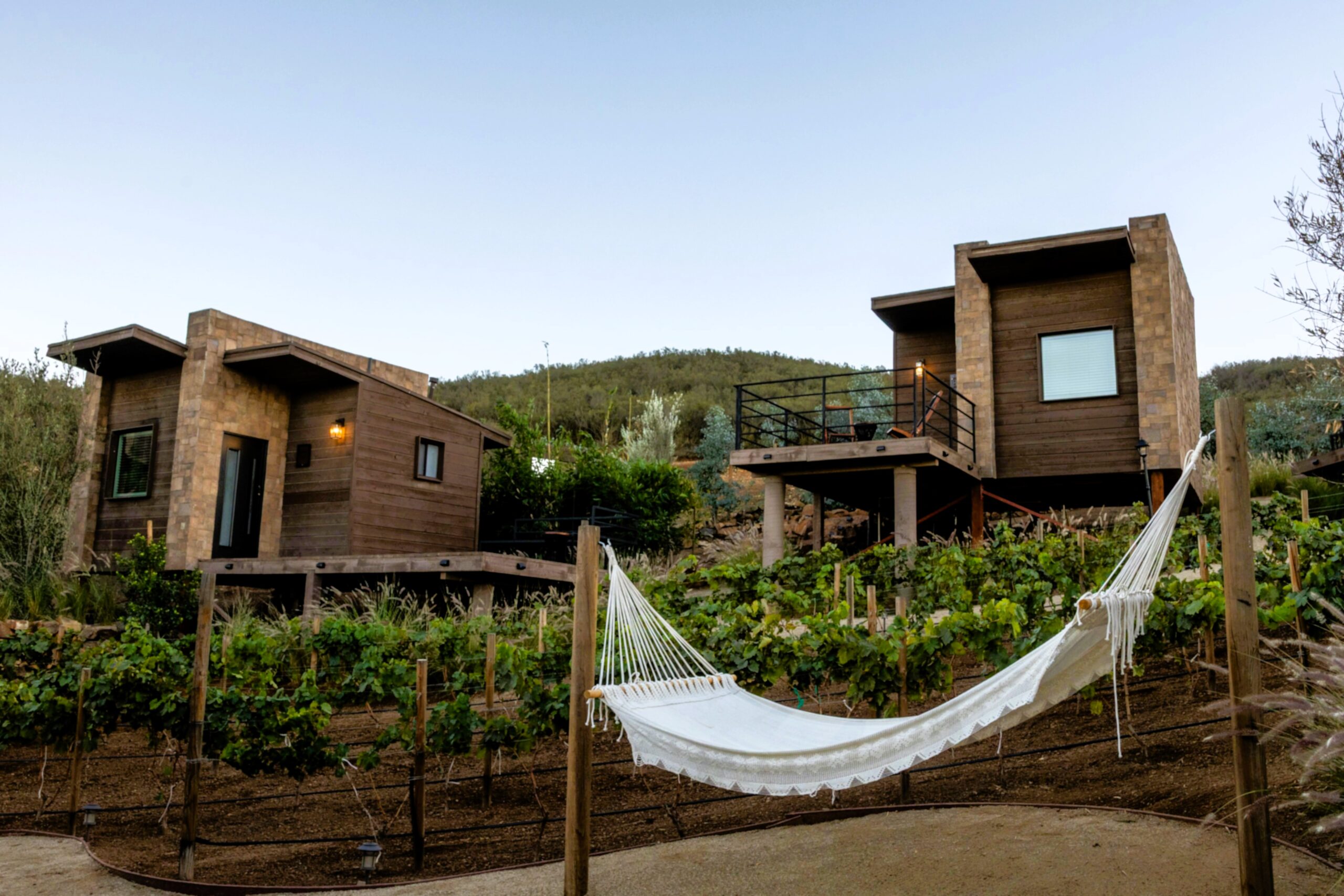 Relaxing hammock at O2 Resort Valle de Guadalupe surrounded by the peaceful natural landscape of Baja California wine country
