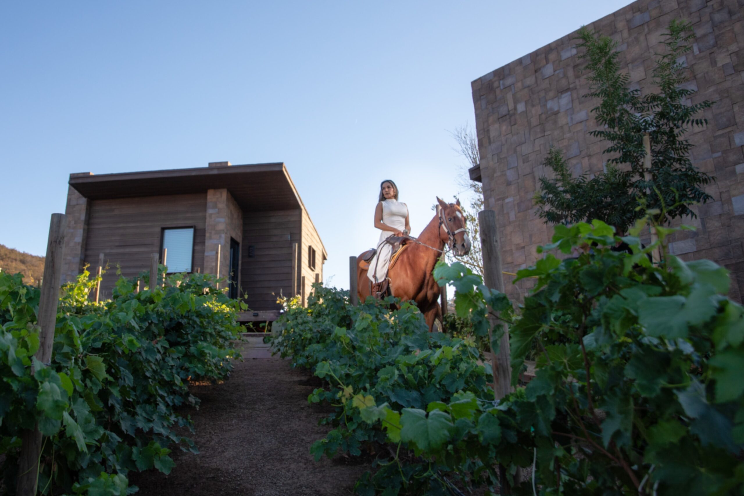 Horseback riding experience at O2 Resort Valle de Guadalupe through the scenic landscape of Baja California wine country