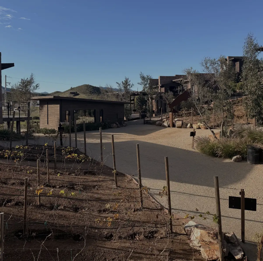 Outdoor greenery view at O2 Resort Valle de Guadalupe showcasing the peaceful natural surroundings of Baja California wine country