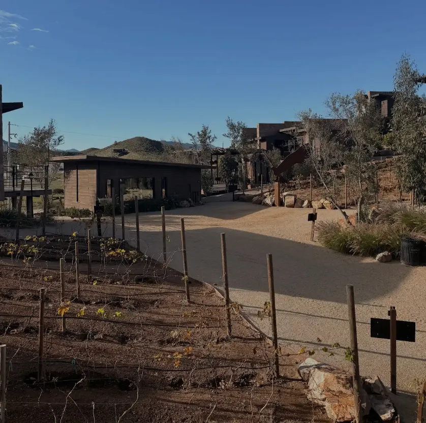 Outdoor greenery view at O2 Resort Valle de Guadalupe showcasing the peaceful natural surroundings of Baja California wine country
