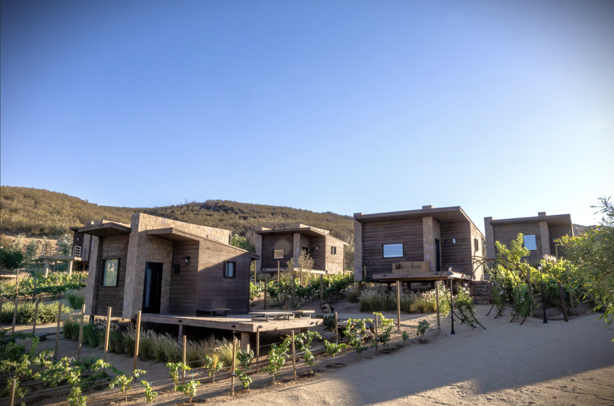 View of luxury cabins at O2 Resort Valle de Guadalupe surrounded by the peaceful natural landscape of Baja California wine country
