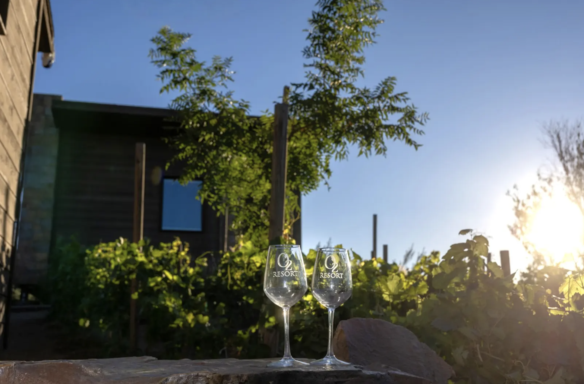 Empty wine glasses at O2 Resort Valle de Guadalupe highlighting the refined wine country atmosphere of Baja California