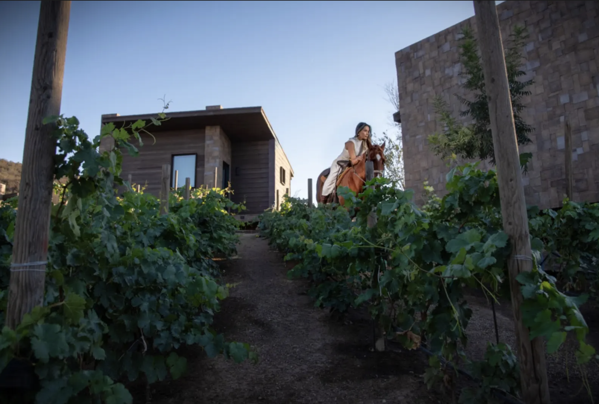 Woman horseback riding at O2 Resort Valle de Guadalupe while enjoying the scenic landscape of Baja California wine country
