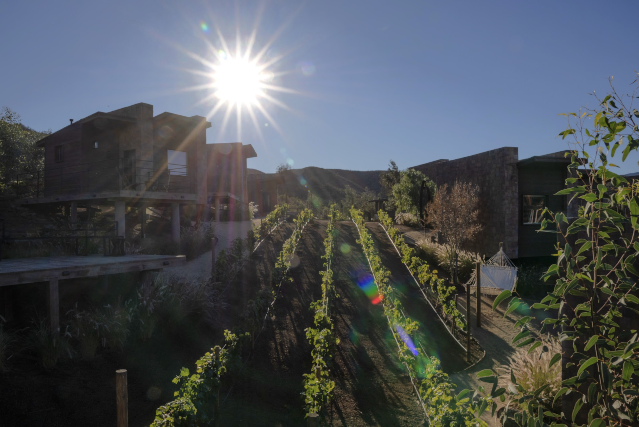 Scenic sunset view at O2 Resort Valle de Guadalupe overlooking the peaceful landscape of Baja California wine country