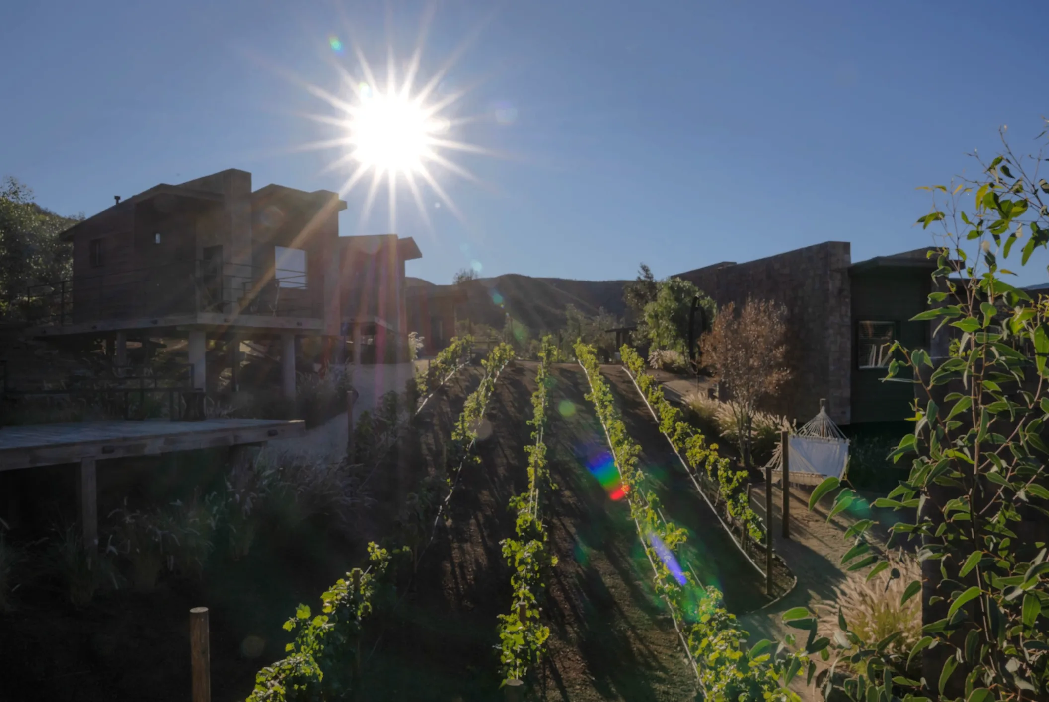 Scenic sunset view at O2 Resort Valle de Guadalupe overlooking the peaceful landscape of Baja California wine country