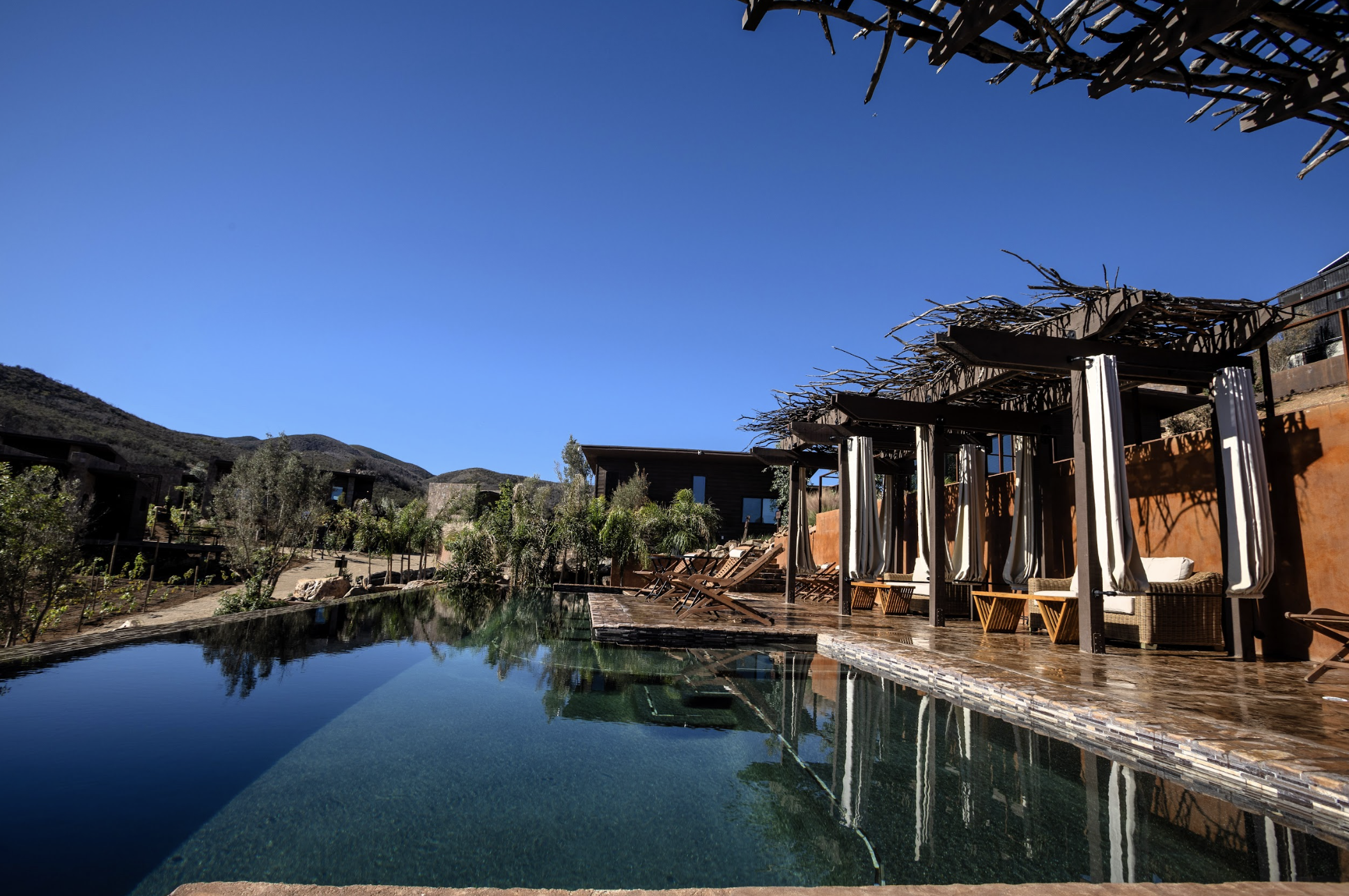 Luxury swimming pool at O2 Resort Valle de Guadalupe offering a peaceful outdoor retreat in Baja California wine country