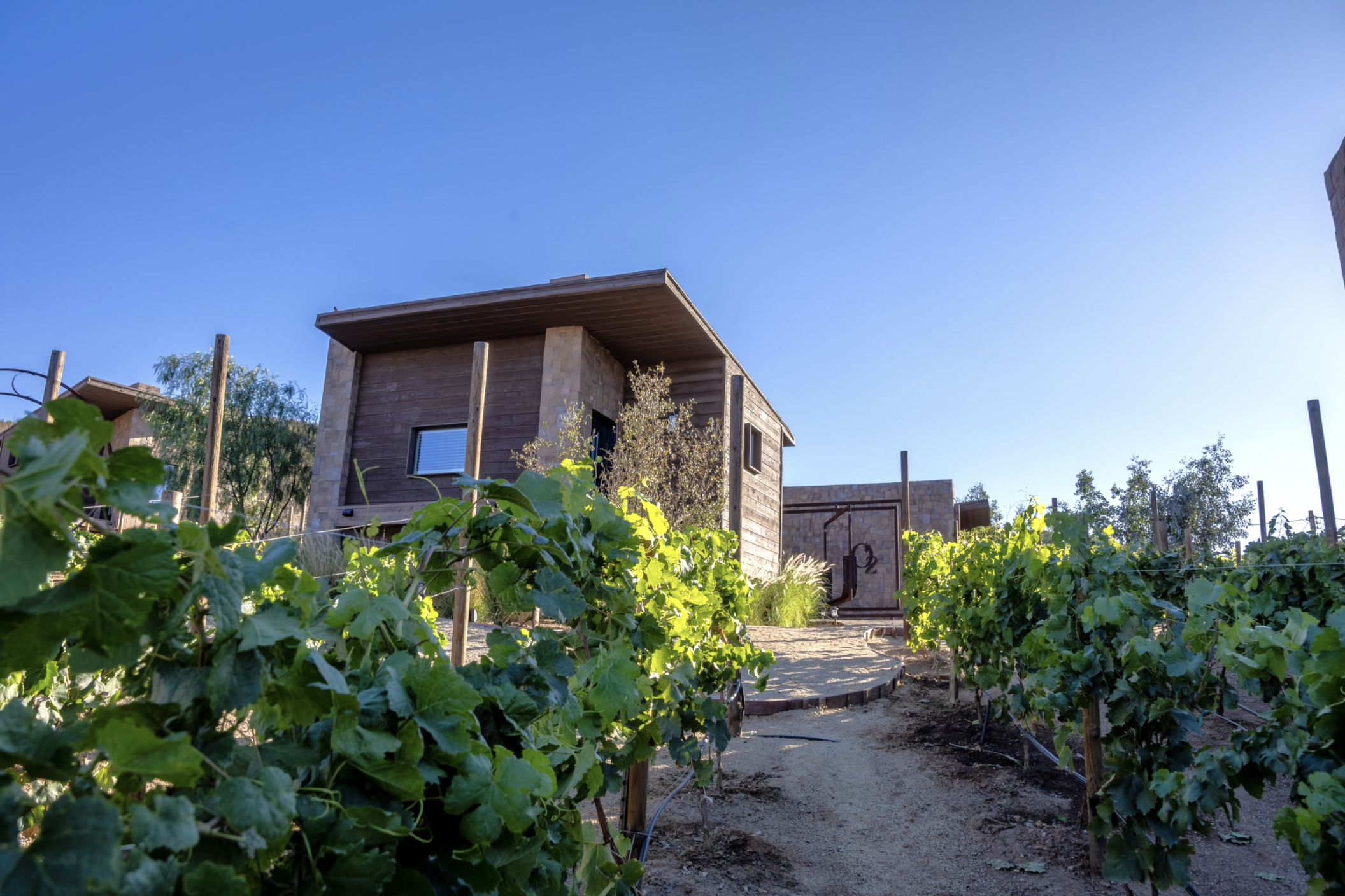 Luxury cabin at O2 Resort Valle de Guadalupe surrounded by lush greenery and the peaceful natural landscape of Baja California wine country