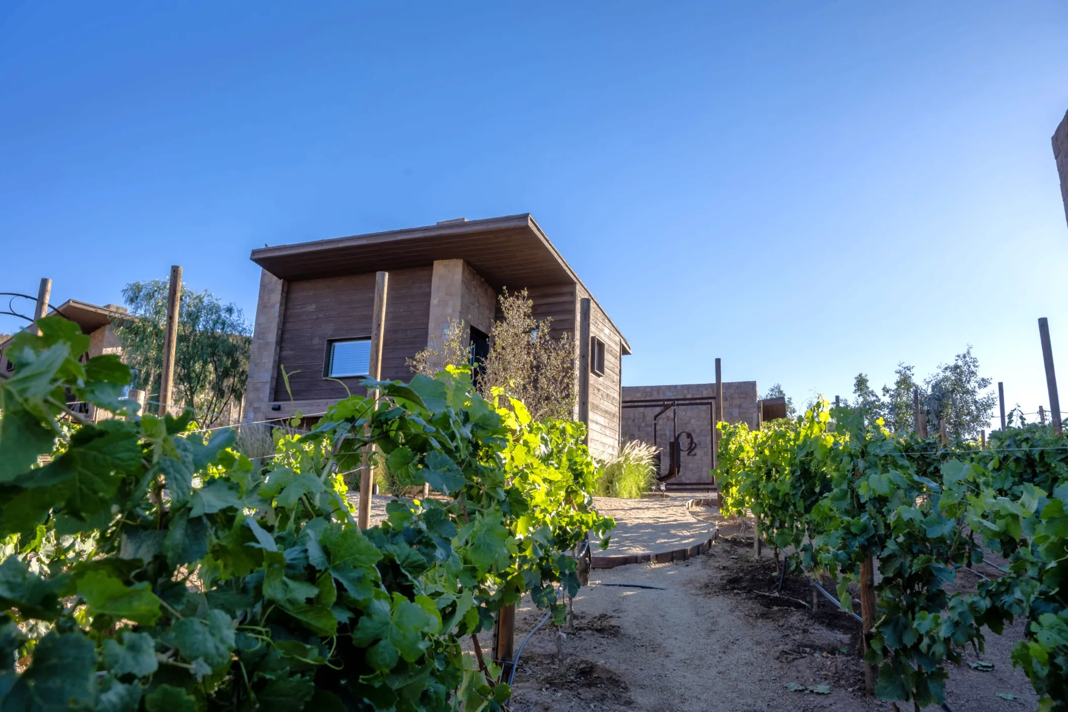 Luxury cabin at O2 Resort Valle de Guadalupe surrounded by lush greenery and the peaceful natural landscape of Baja California wine country