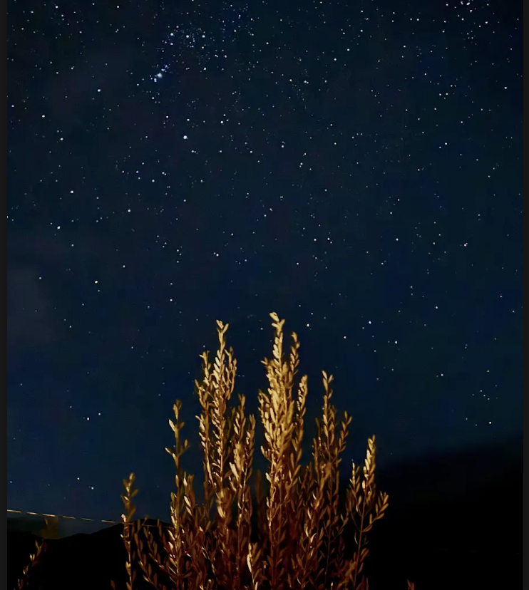 Night view of O2 Resort Valle de Guadalupe featuring illuminated resort surroundings and a peaceful evening atmosphere in Baja California wine country