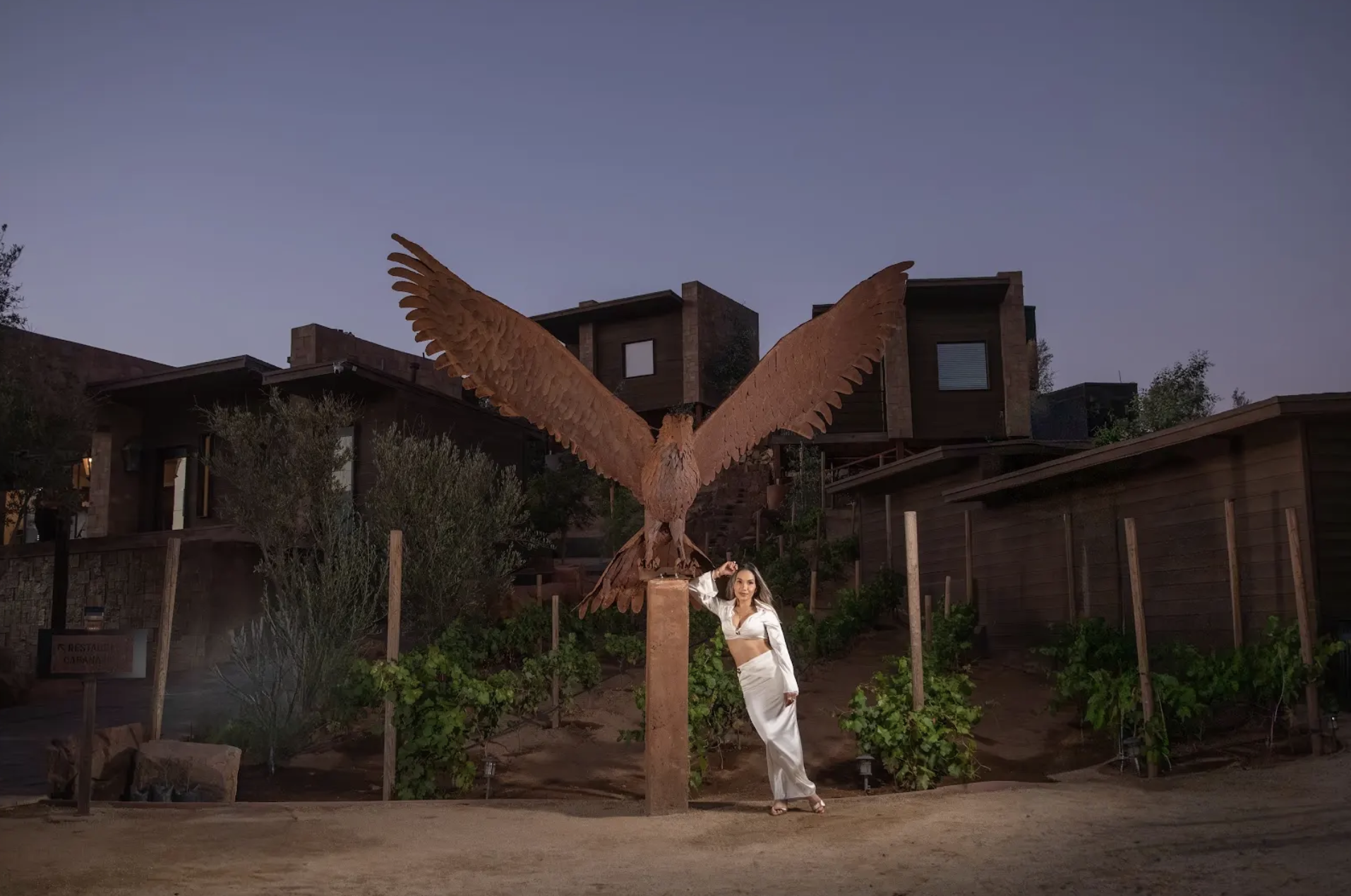 Eagle at O2 Resort Valle de Guadalupe showcasing the natural wildlife and scenic surroundings of Baja California wine country