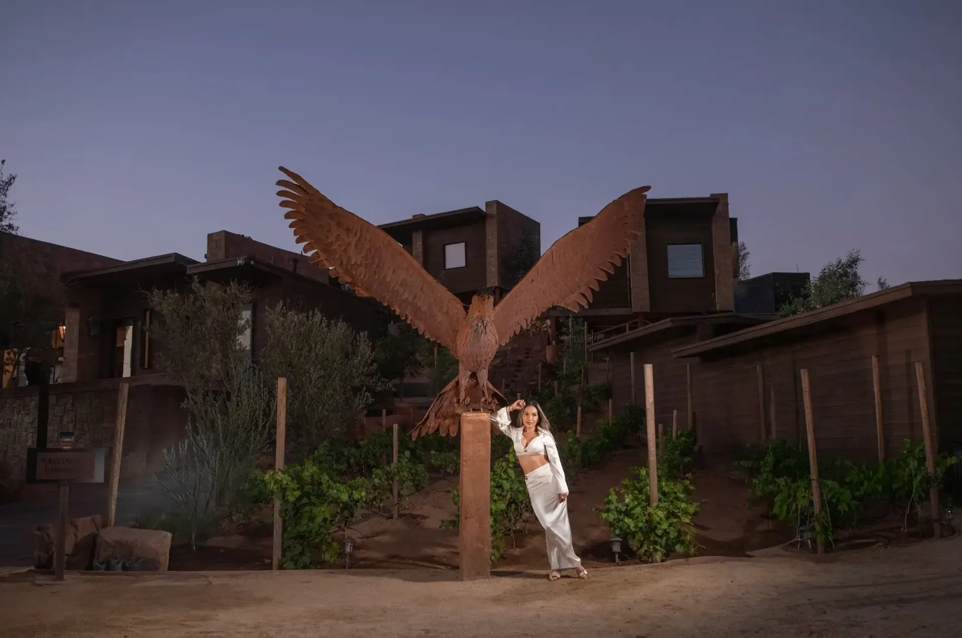 Eagle at O2 Resort Valle de Guadalupe showcasing the natural wildlife and scenic surroundings of Baja California wine country