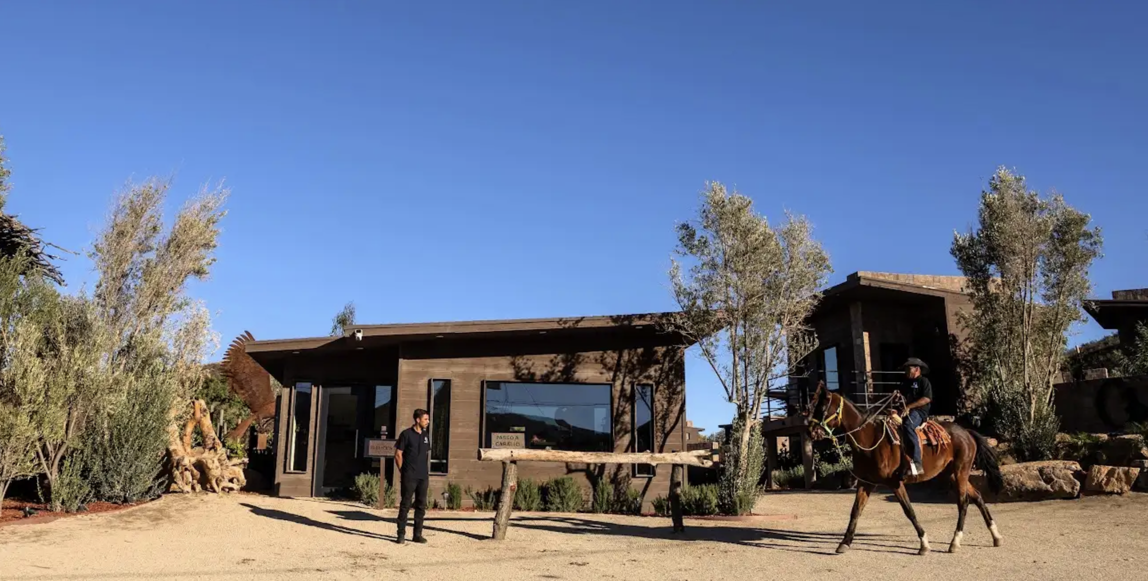 Horse riding experience at O2 Resort Valle de Guadalupe through the scenic landscape of Baja California wine country