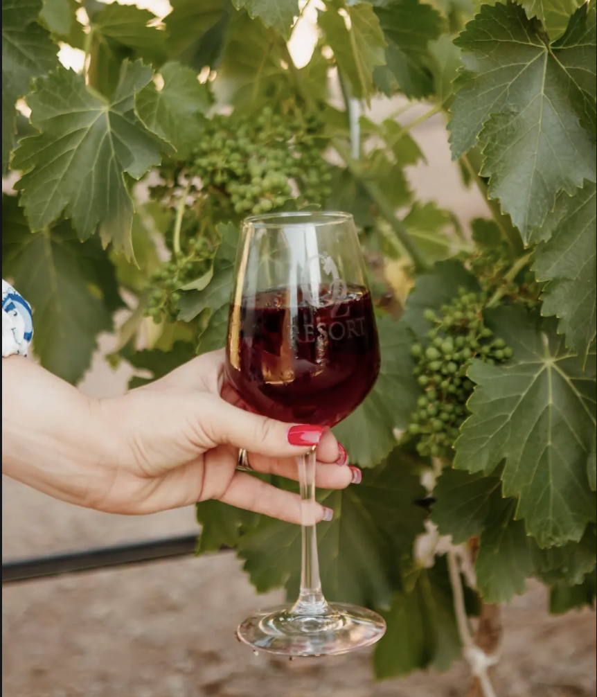 Wine glass at O2 Resort Valle de Guadalupe showcasing a relaxing wine country experience in Baja California