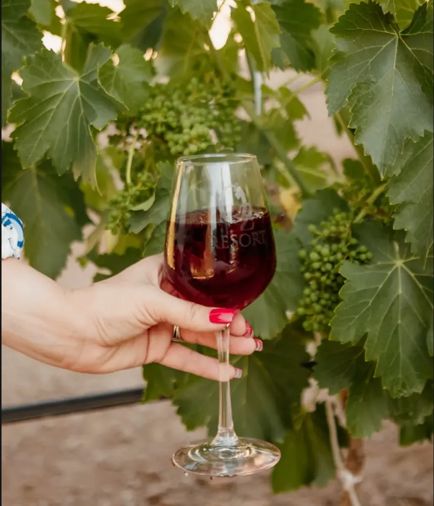 Wine glass at O2 Resort Valle de Guadalupe showcasing a relaxing wine country experience in Baja California