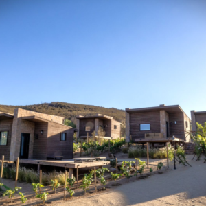 Elegant King Room with balcony overlooking Valle de Guadalupe at O2 Resort