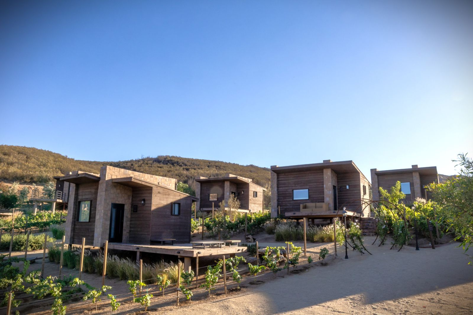 Elegant King Room with balcony overlooking Valle de Guadalupe at O2 Resort
