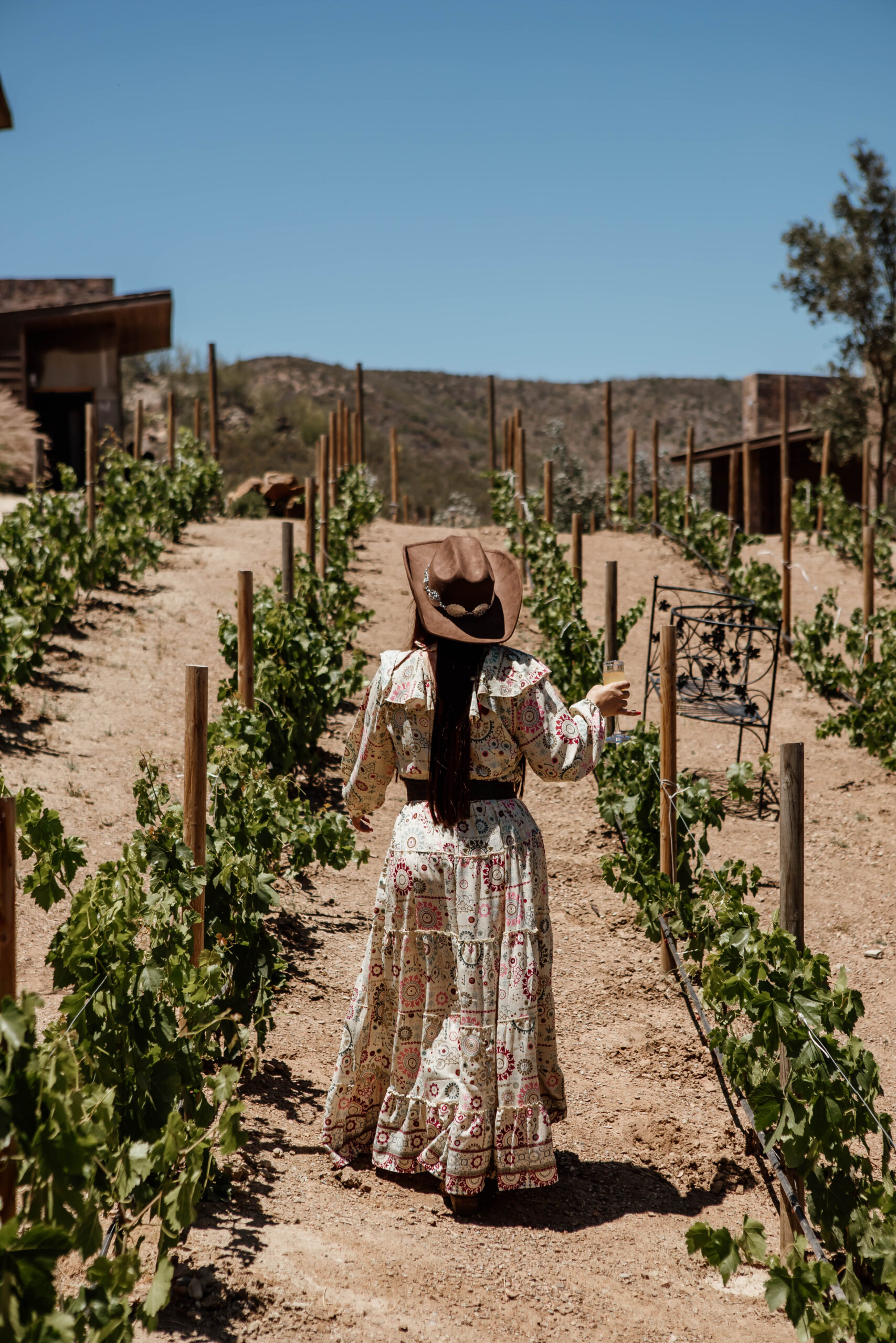 Luxury hospitality experience at O2 Resort Valle de Guadalupe