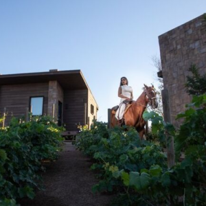 Horse riding through the vineyards at O2 Resort Valle de Guadalupe in Baja California