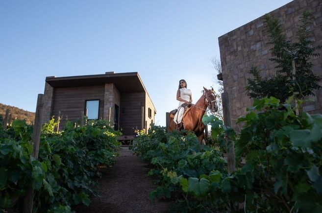 Horse riding through the vineyards at O2 Resort Valle de Guadalupe in Baja California