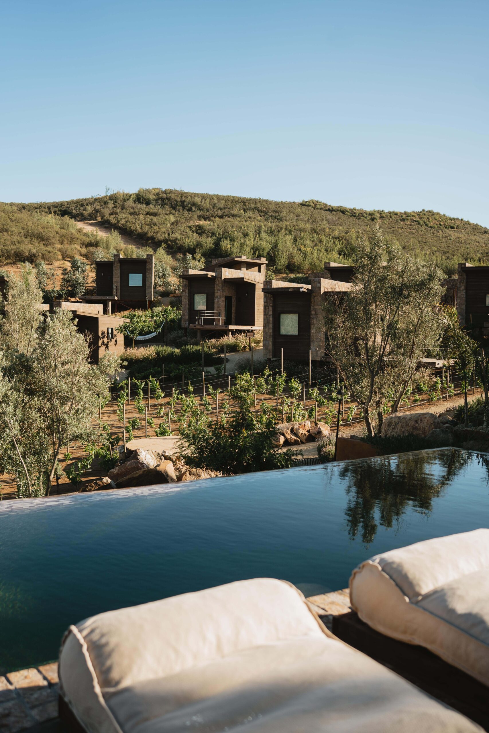 Luxury infinity pool at O2 Resort Valle de Guadalupe overlooking the vineyards of Baja California wine country, offering a relaxing boutique resort experience