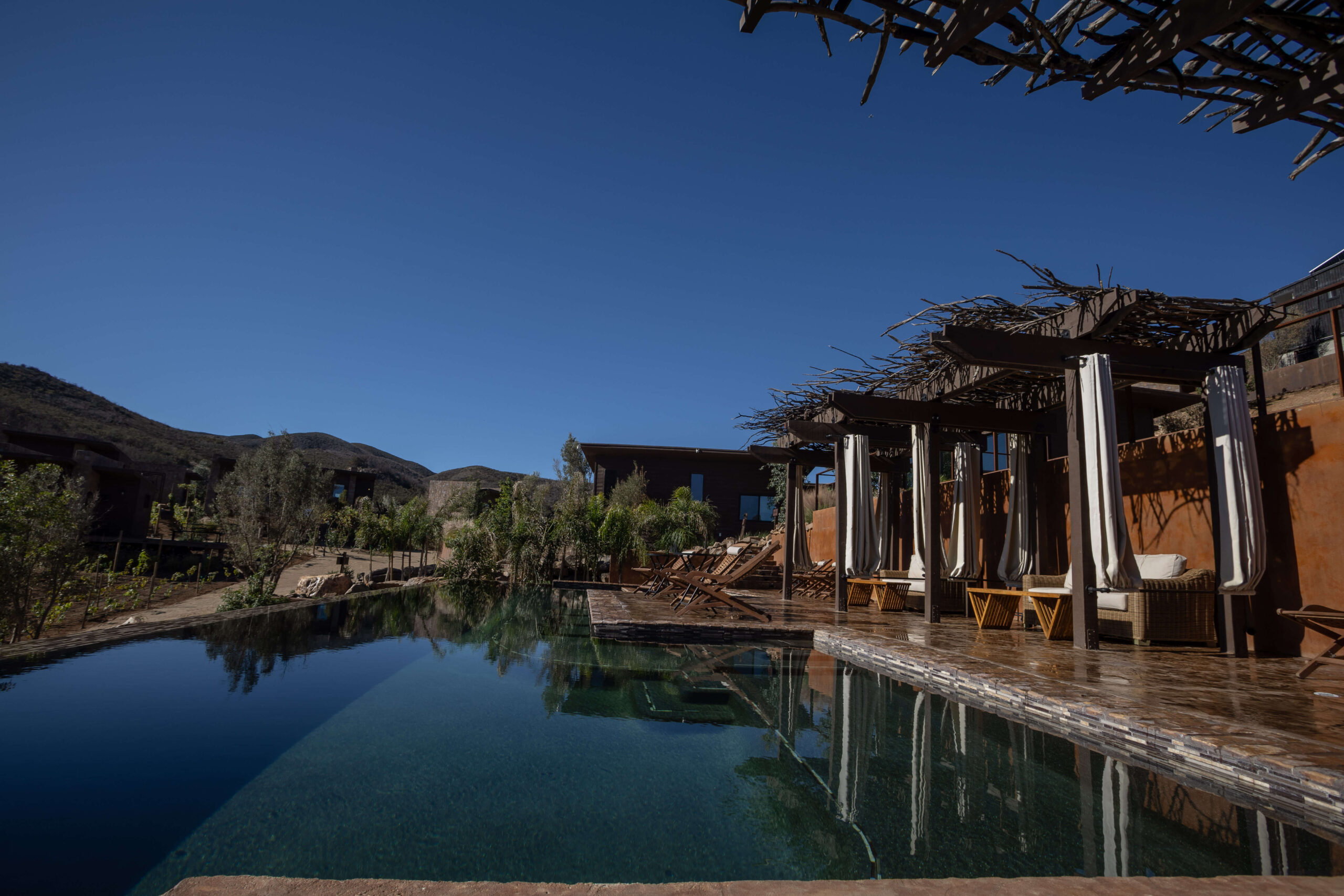 Luxury outdoor pool at O2 Resort Valle de Guadalupe surrounded by vineyards in Baja California wine country